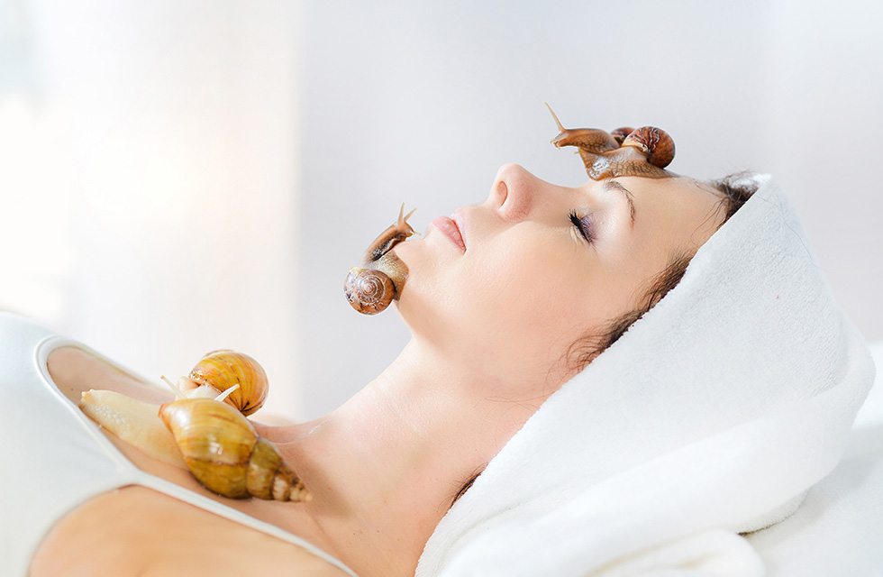 Snail therapy - Ästhetik Lab Procedure Gallery